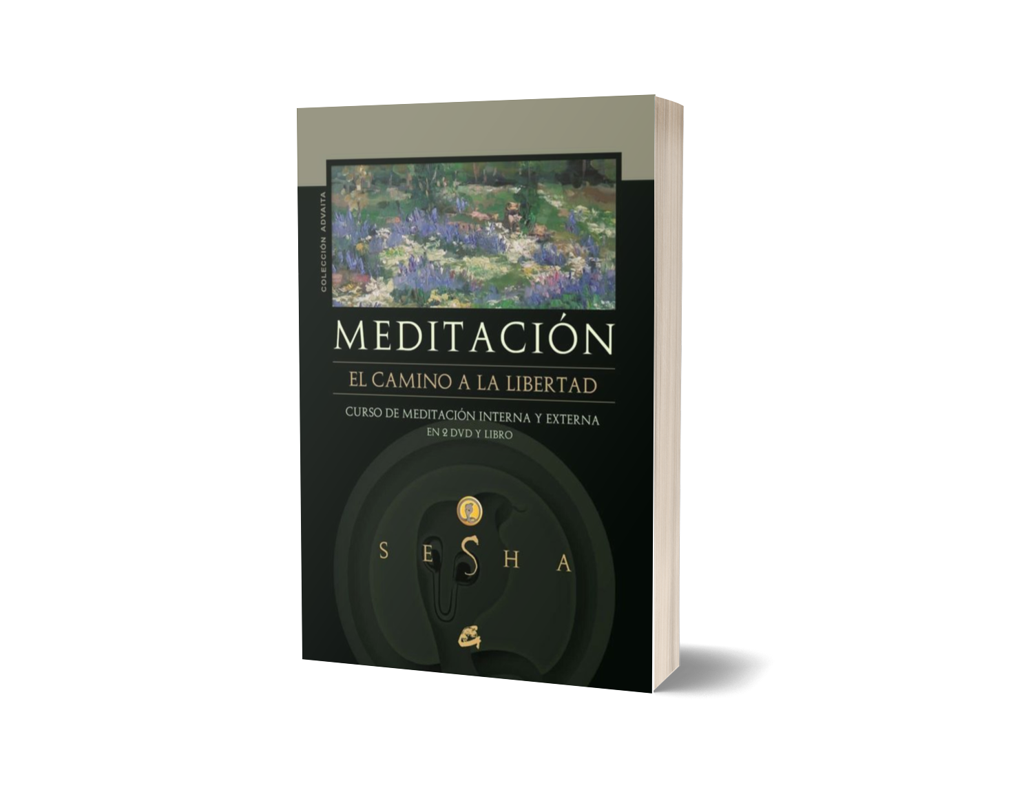Meditação (espanhol)