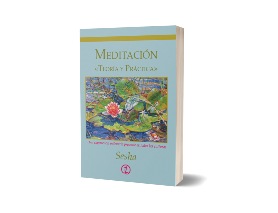 Meditación, Teoría y Práctica (espanhol)