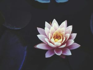 Lee más sobre el artículo La práctica meditativa no es el mejoramiento de lo que soy como persona
