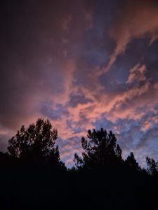 Lee más sobre el artículo Etapas que conducen a la dificultad y a la incomprensión de lo que somos en esencia